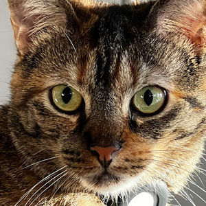 Meet your Posher, Hanin